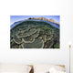 Beautiful and Fragile Coral Looking Down Wall Decal