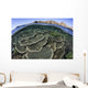 Beautiful and Fragile Coral Looking Down Wall Decal