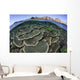 Beautiful and Fragile Coral Looking Down Wall Decal