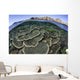 Beautiful and Fragile Coral Looking Down Wall Decal