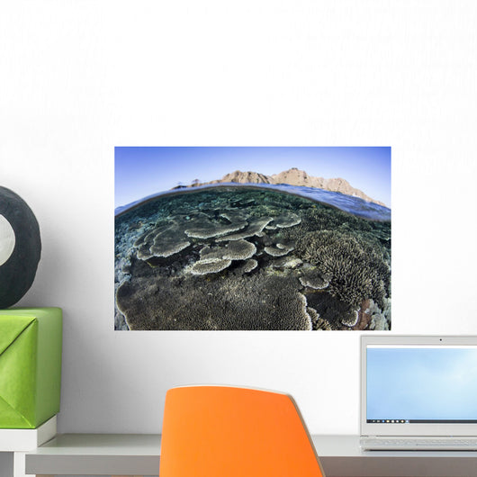 Beautiful and Fragile Coral Distant Mountains Wall Decal