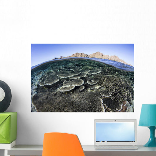 Beautiful and Fragile Coral Distant Mountains Wall Decal
