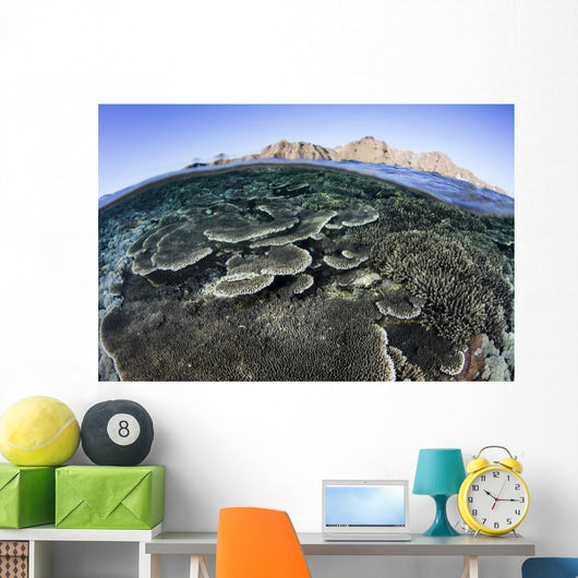 Beautiful and Fragile Coral Distant Mountains Wall Decal