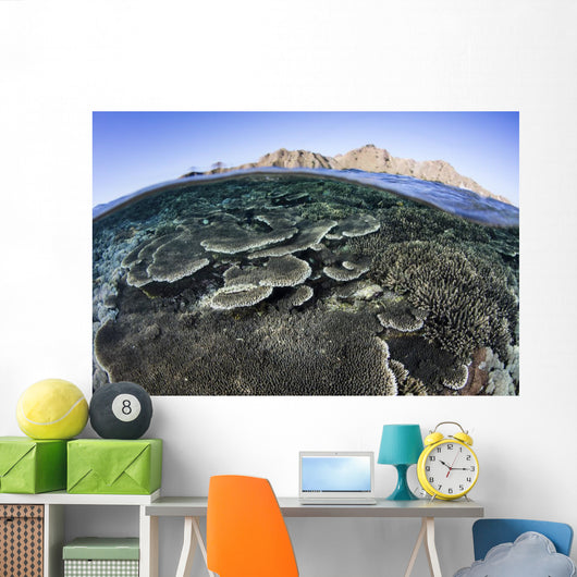 Beautiful and Fragile Coral Distant Mountains Wall Decal
