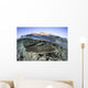 Beautiful and Fragile Coral Water Surface Wall Decal