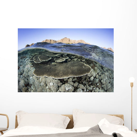 Beautiful and Fragile Coral Water Surface Wall Decal