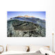Beautiful and Fragile Coral Water Surface Wall Decal