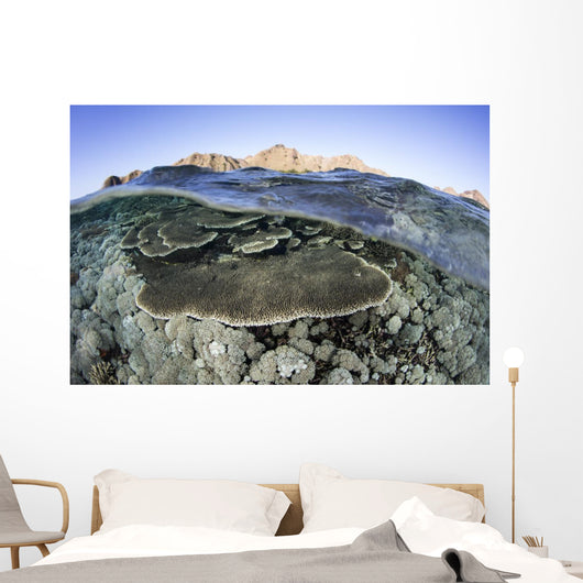 Beautiful and Fragile Coral Water Surface Wall Decal