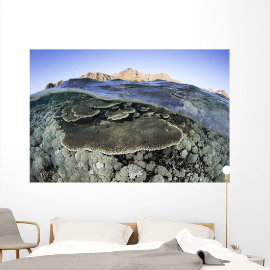 Beautiful and Fragile Coral Water Surface Wall Decal