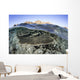 Beautiful and Fragile Coral Water Surface Wall Decal