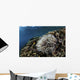 Anemone Grows Fragile Reef Wall Decal
