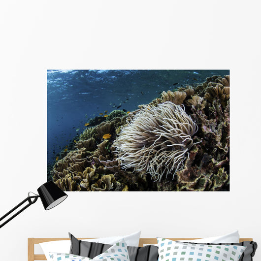 Anemone Grows Fragile Reef Wall Decal