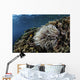 Anemone Grows Fragile Reef Wall Decal