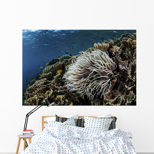 Anemone Grows Fragile Reef Wall Decal