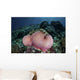 Magnificent Sea Anemone Grows Wall Decal