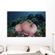 Magnificent Sea Anemone Grows Wall Decal