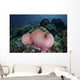 Magnificent Sea Anemone Grows Wall Decal