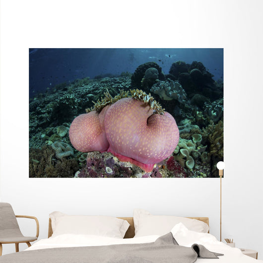 Magnificent Sea Anemone Grows Wall Decal