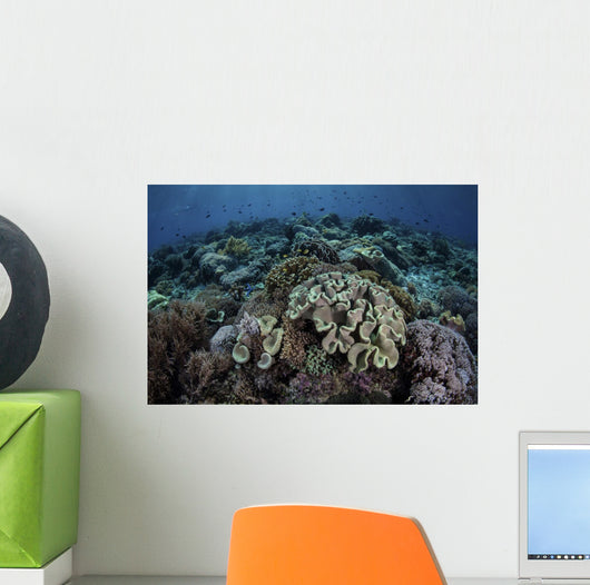 Beautiful and Healthy Coral Dark Wall Decal