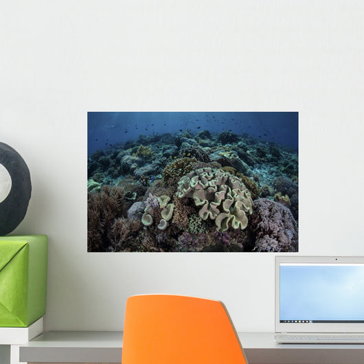 Beautiful and Healthy Coral Dark Wall Decal
