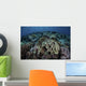 Beautiful and Healthy Coral Dark Wall Decal