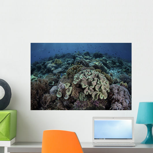 Beautiful and Healthy Coral Dark Wall Decal