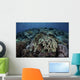 Beautiful and Healthy Coral Dark Wall Decal