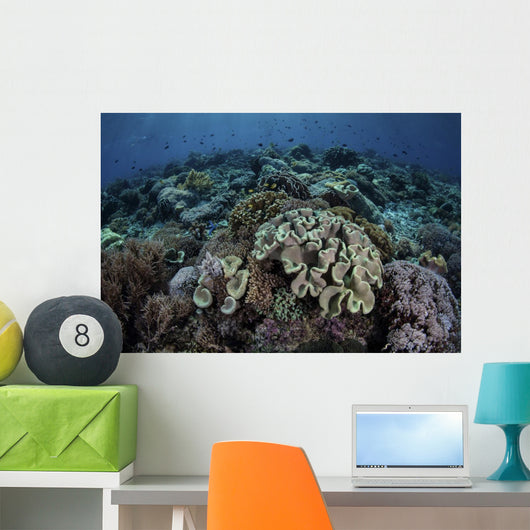 Beautiful and Healthy Coral Dark Wall Decal