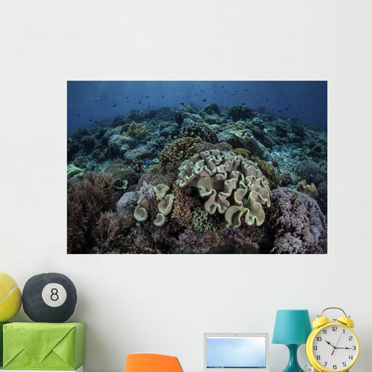 Beautiful and Healthy Coral Dark Wall Decal