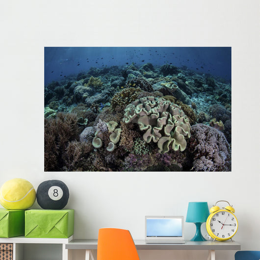 Beautiful and Healthy Coral Dark Wall Decal