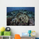 Beautiful and Healthy Coral Dark Wall Decal