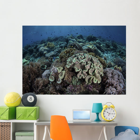 Beautiful and Healthy Coral Dark Wall Decal
