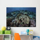 Beautiful and Healthy Coral Dark Wall Decal