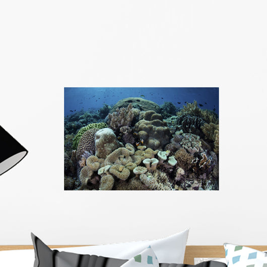 Beautiful and Healthy Coral with Fish Wall Decal