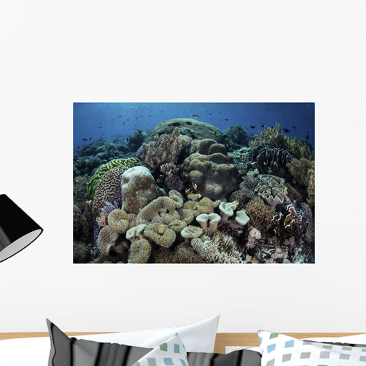Beautiful and Healthy Coral with Fish Wall Decal