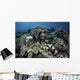 Beautiful and Healthy Coral with Fish Wall Decal