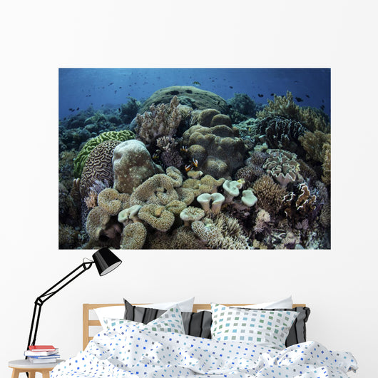 Beautiful and Healthy Coral with Fish Wall Decal