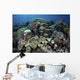 Beautiful and Healthy Coral with Fish Wall Decal