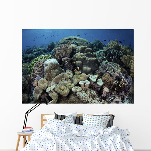 Beautiful and Healthy Coral with Fish Wall Decal
