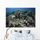 Beautiful and Healthy Coral with Fish Wall Decal