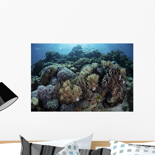 Beautiful and Healthy Coral Light Wall Decal