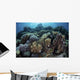 Beautiful and Healthy Coral Light Wall Decal