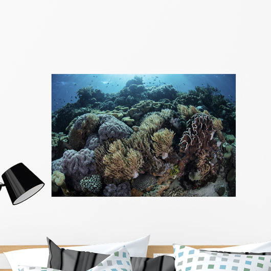 Beautiful and Healthy Coral Light Wall Decal