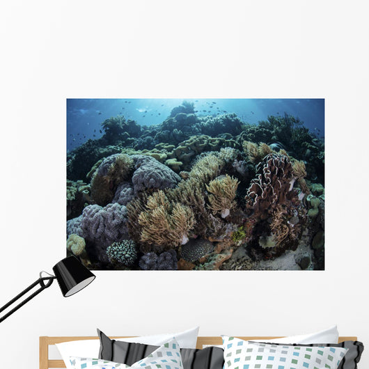 Beautiful and Healthy Coral Light Wall Decal