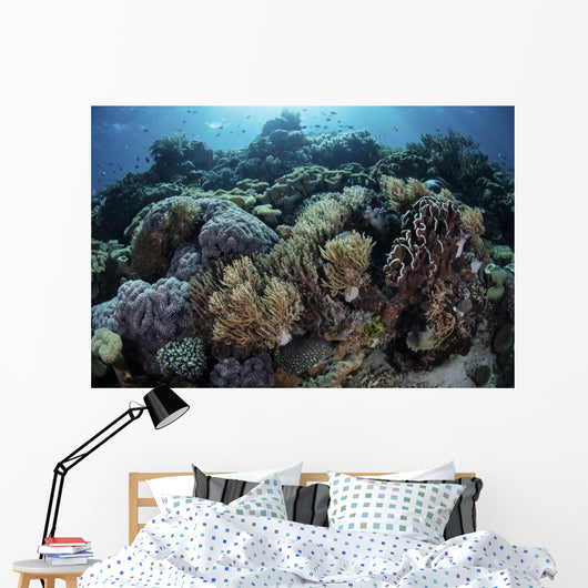 Beautiful and Healthy Coral Light Wall Decal
