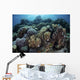 Beautiful and Healthy Coral Light Wall Decal
