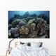 Beautiful and Healthy Coral Light Wall Decal
