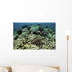 Beautiful and Healthy Coral Looking Down Wall Decal