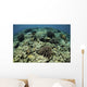 Beautiful and Healthy Coral Looking Down Wall Decal