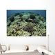 Beautiful and Healthy Coral Looking Down Wall Decal